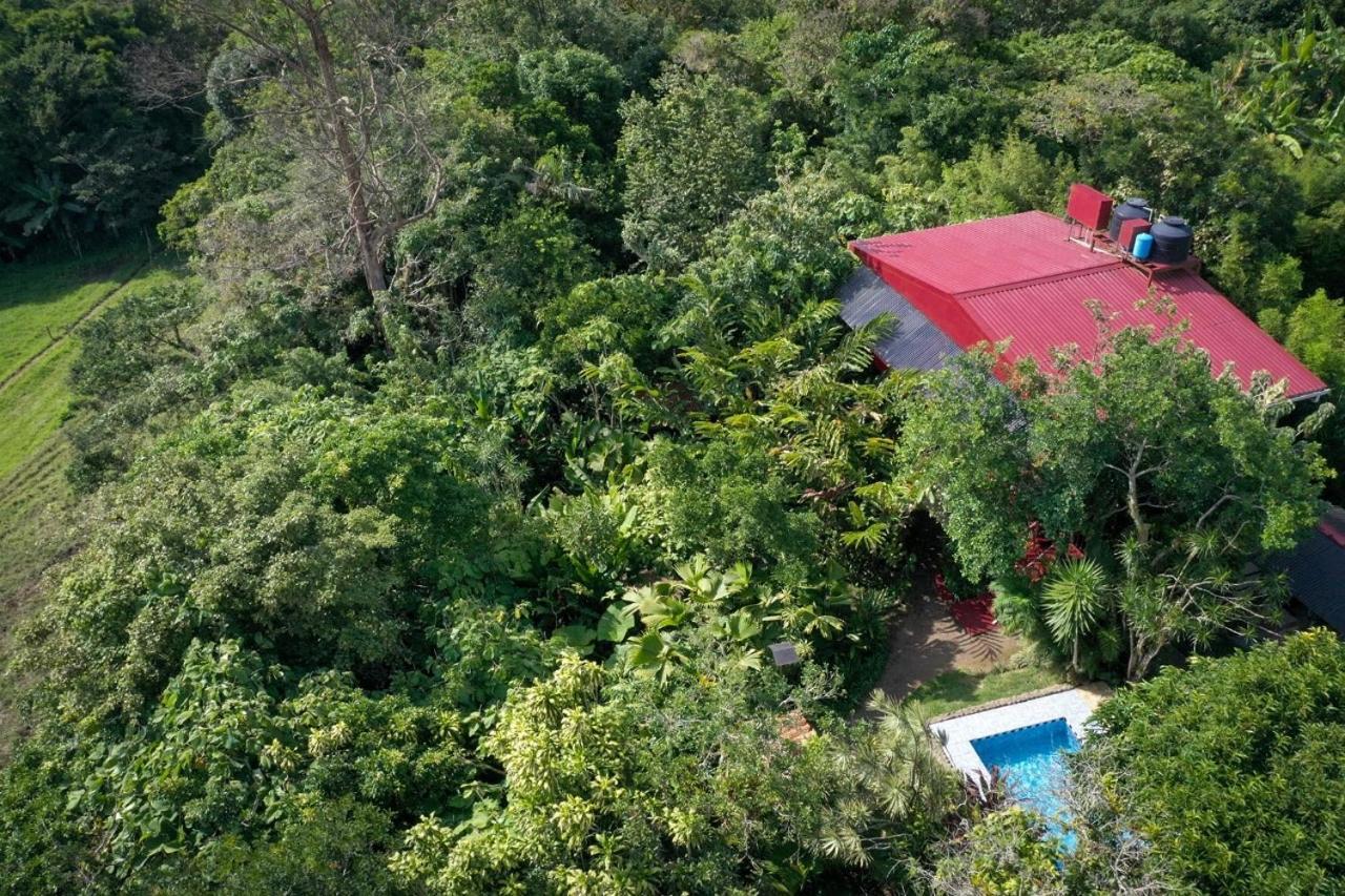 La Boruca Bed & Breakfast San Isidro  Bagian luar foto