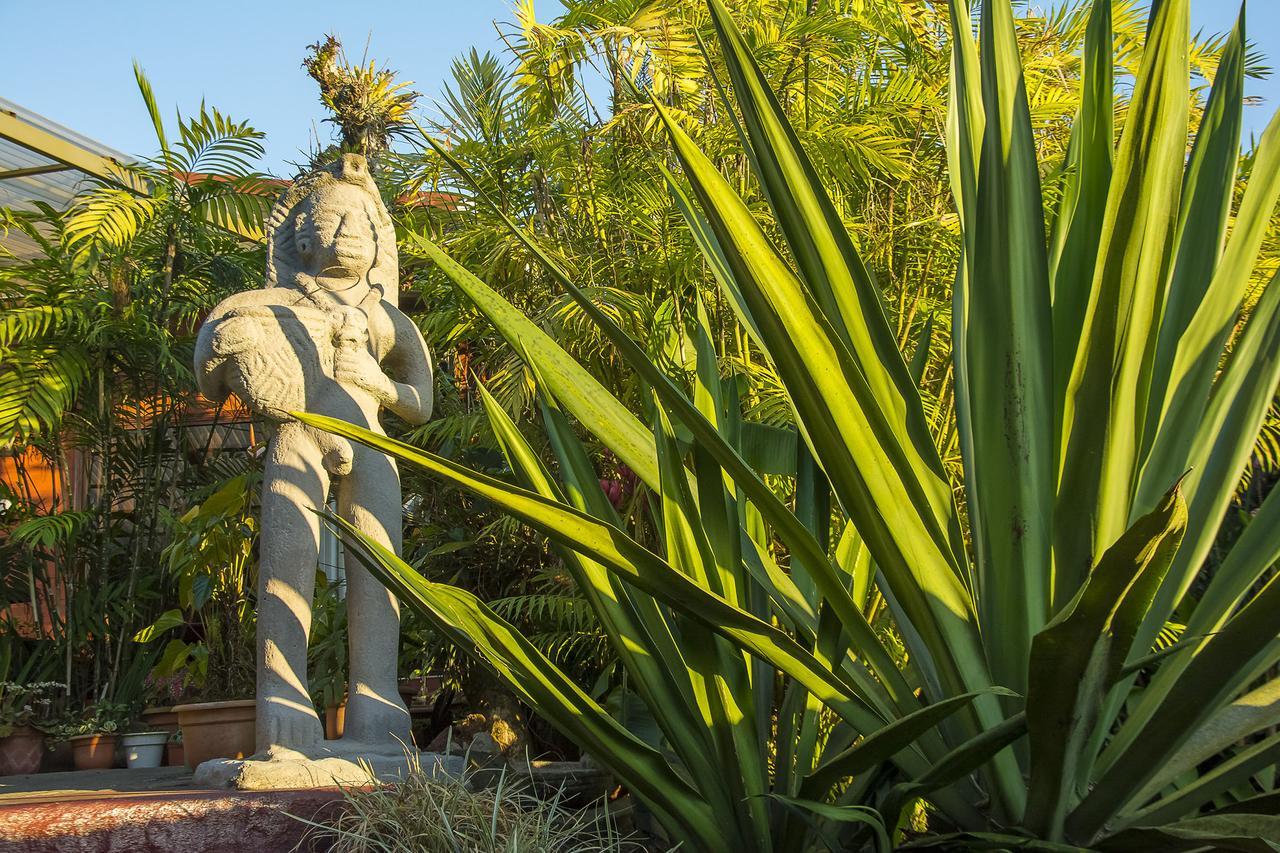 La Boruca Bed & Breakfast San Isidro  Bagian luar foto