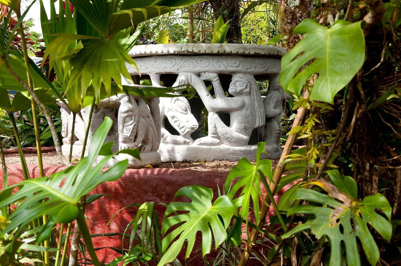 La Boruca Bed & Breakfast San Isidro  Bagian luar foto