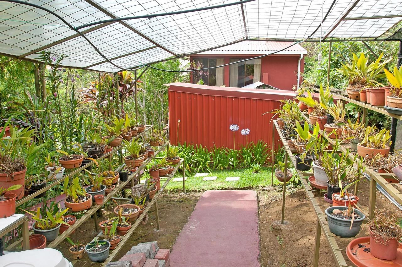 La Boruca Bed & Breakfast San Isidro  Bagian luar foto